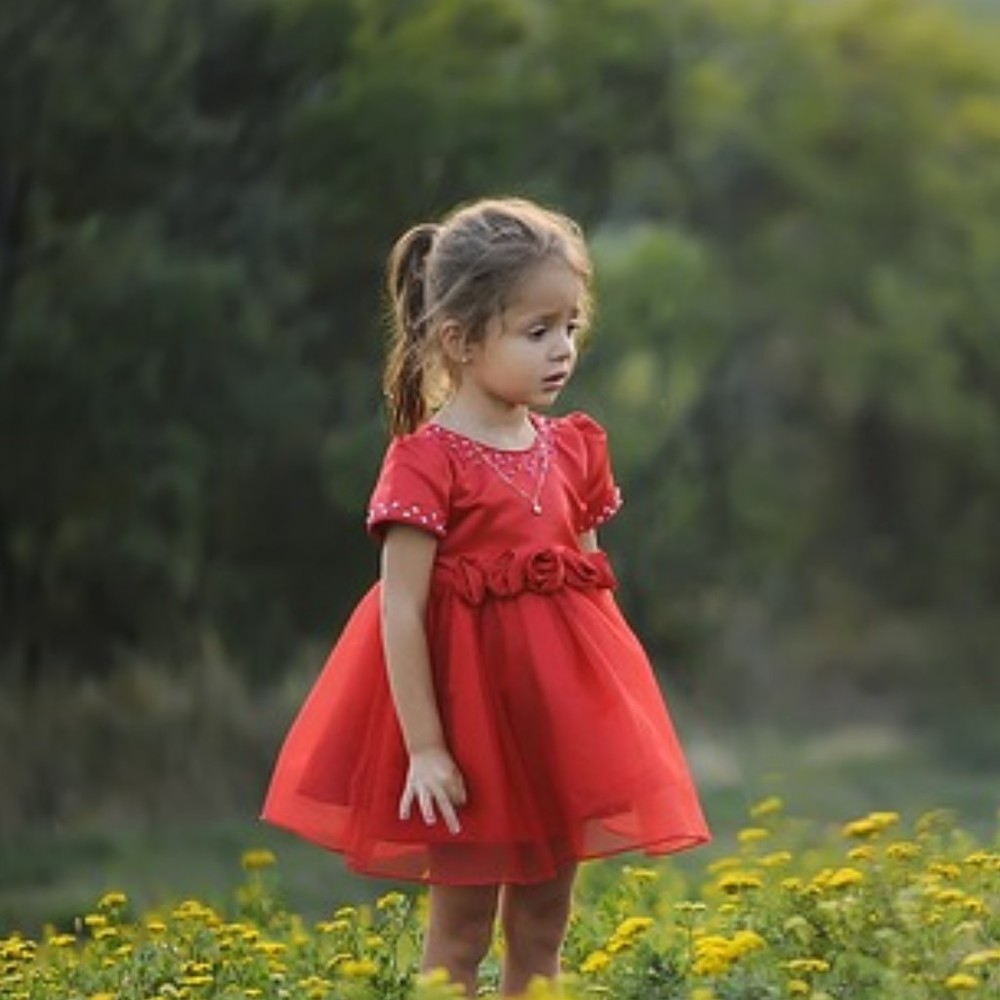 Meet your Posher, Phyllis